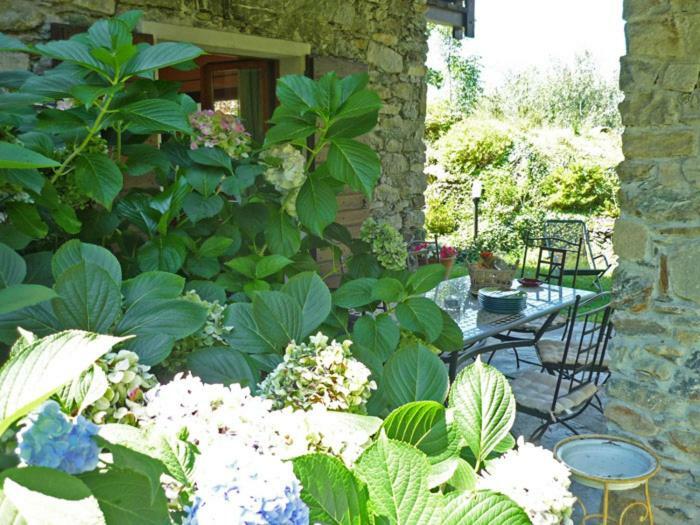 Villa Erica Con Piscina Privata Sul Lago Di Como Colico Eksteriør billede
